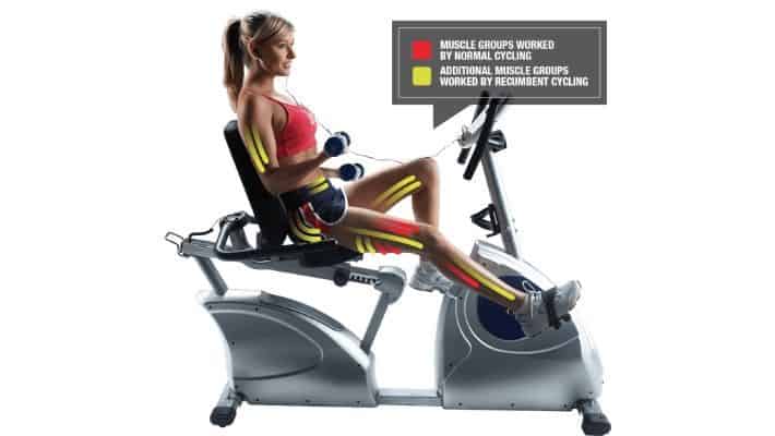 what muscles does a recumbent bike work