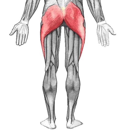 lower body muscles used on recumbent bike