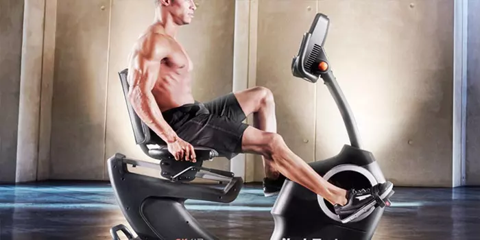muscles engaged on a recumbent bike